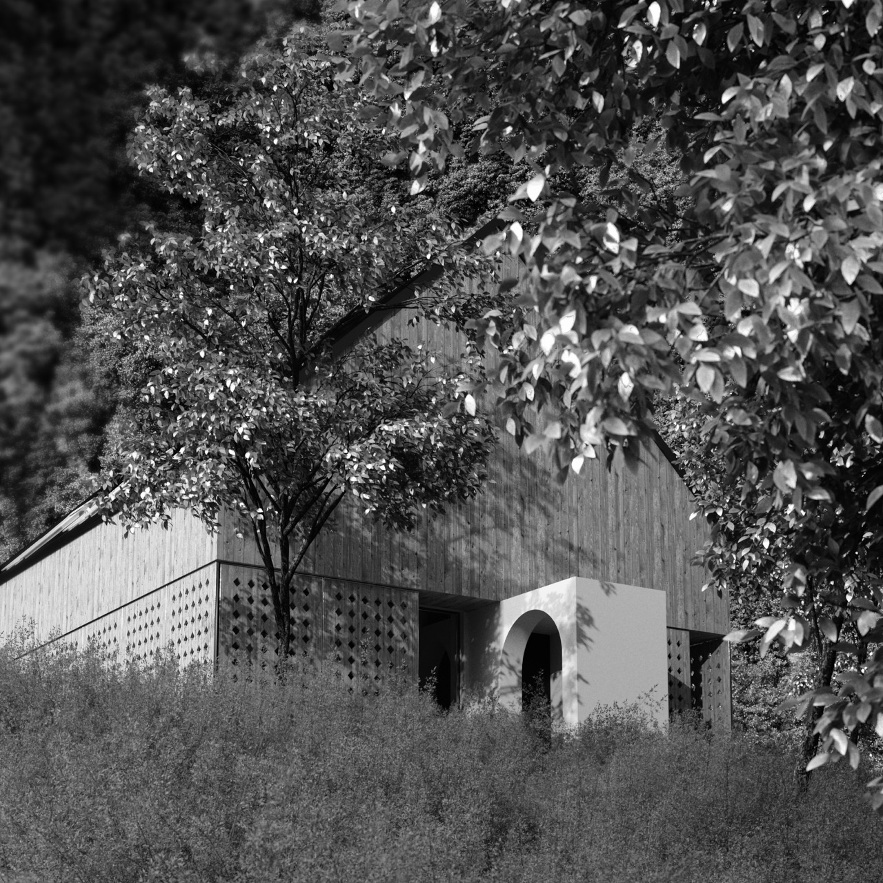 Spine House